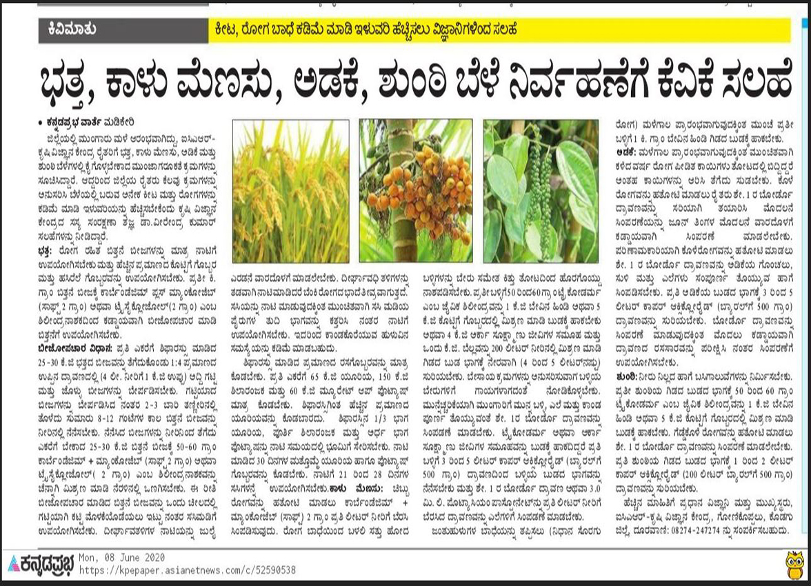 Paddy, black pepper, Arecanut and ginger crop management by KVK Gonikoppal